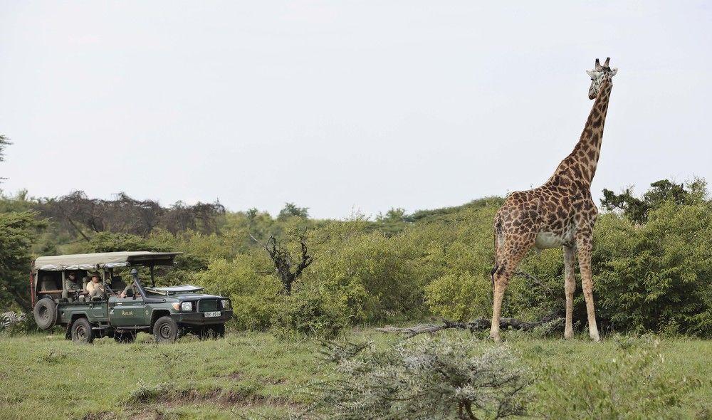 Hotel Encounter Mara Camp à Réserve nationale du Masai Mara Extérieur photo