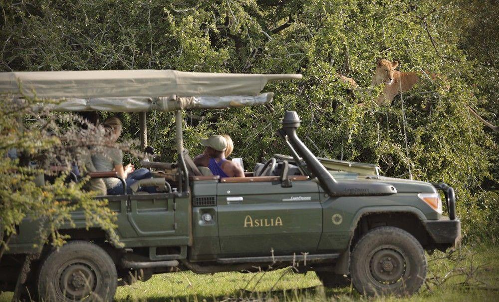 Hotel Encounter Mara Camp à Réserve nationale du Masai Mara Extérieur photo