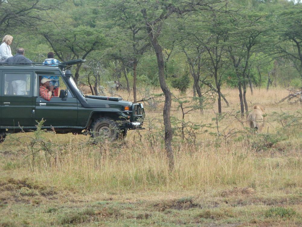 Hotel Encounter Mara Camp à Réserve nationale du Masai Mara Extérieur photo